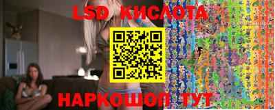 винт Краснодар