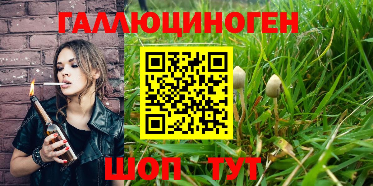 Гай  купить наркотик  Вход с VPN  Псилоцибиновые грибы Cubensis 